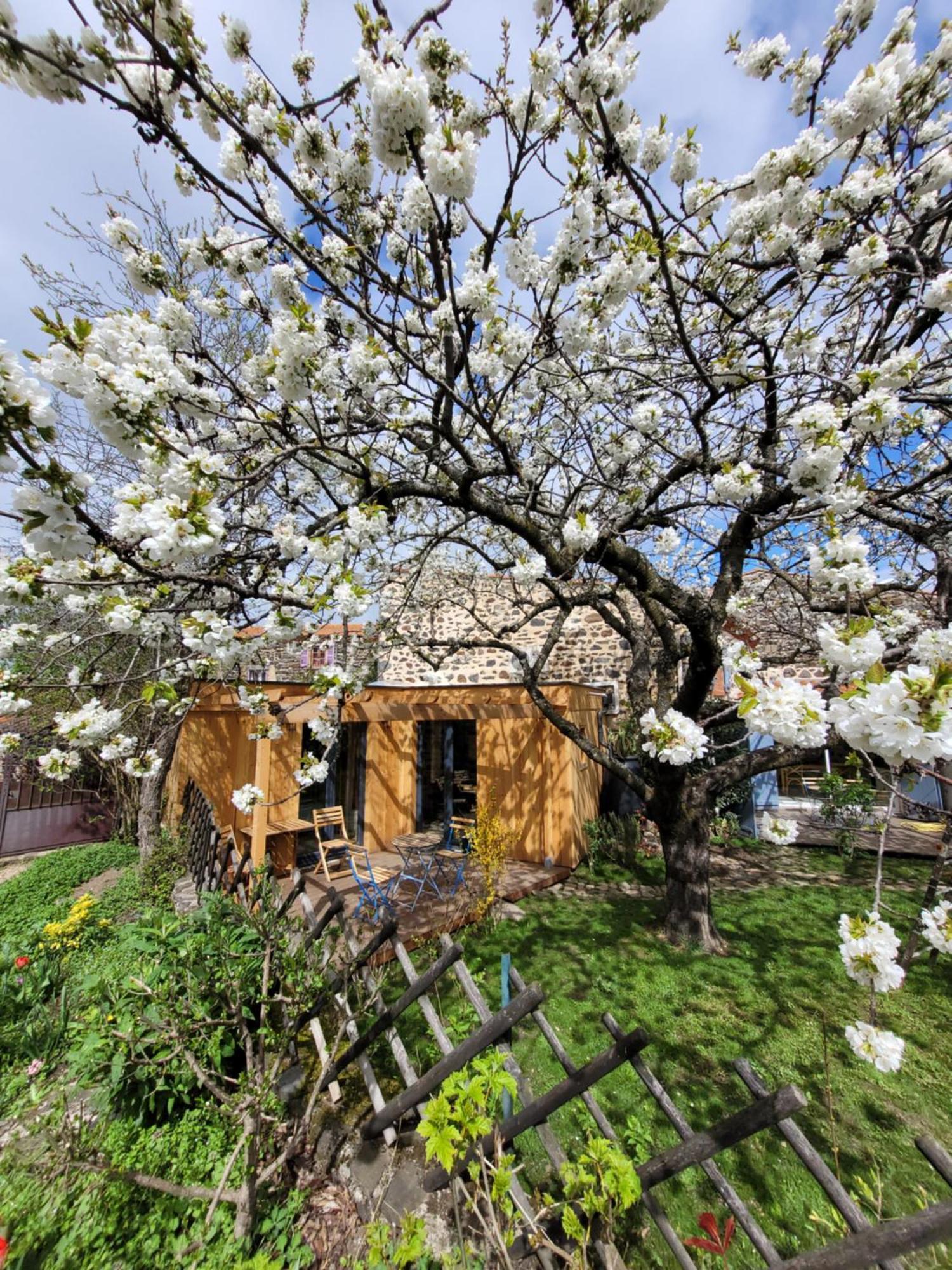 La Maisonnette Sous Le Cerisier Bergonne Luaran gambar